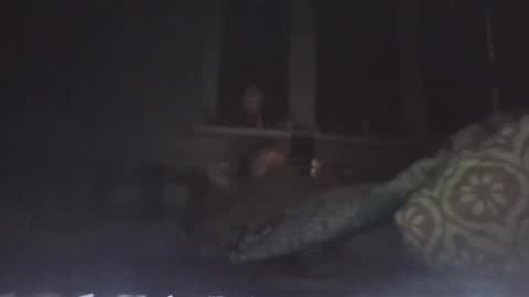 filipek757 online show from November 25, 10:08 pm