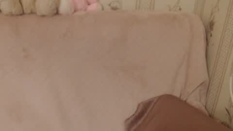 say meow and send tip  online show from June 26, 5:40 pm