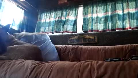 Snapshot of foxbodydave chatting on October 7, 1:01 am foxbodydave online show from October 7, 1:01 am