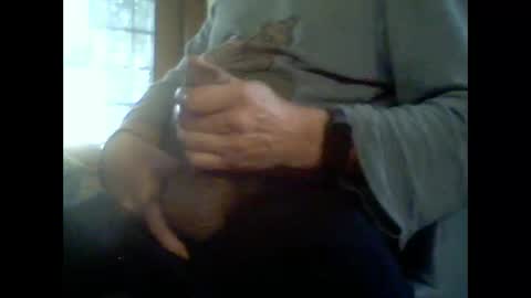 fra  71 online show from March 7, 5:51 am