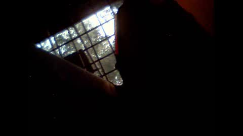 fra  71 online show from February 9, 6:17 am