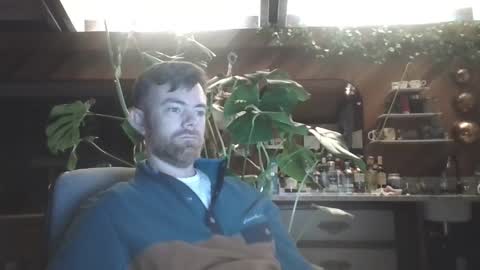 Freddy online show from January 15, 3:11 am