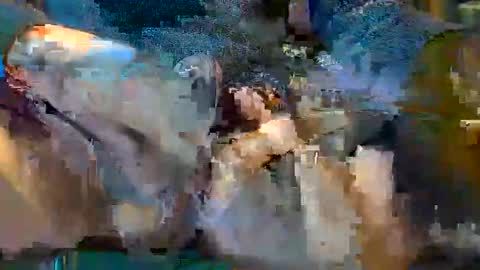 frenchpapalover online show from February 2, 8:13 am