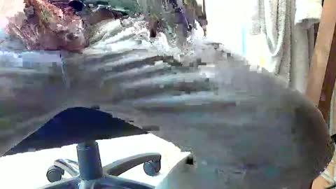 frenchpapalover online show from February 28, 1:14 pm