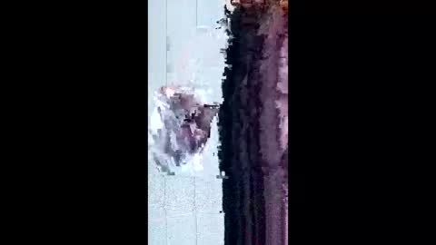 friendshipplus online show from February 3, 8:07 am