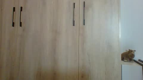 Prince online show from November 5, 11:18 pm