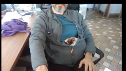 Bruchus online show from November 25, 9:41 am