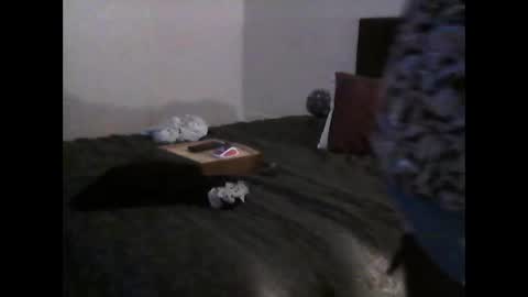 Pizzaz online show from February 26, 5:21 pm