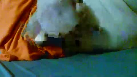 fultonstreet196860 online show from March 18, 4:07 am