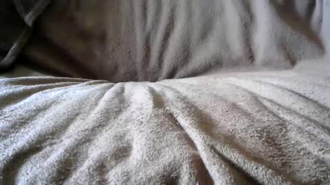 BigLoadsJoe online show from February 24, 6:58 pm