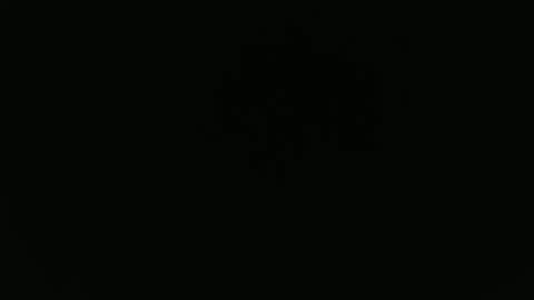 Snapshot of gary_in_maryland chatting on February 19, 2:22 pm Gary online show from February 19, 2:22 pm
