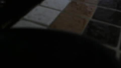 gene online show from December 31, 7:29 pm