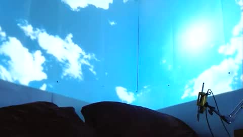 genitalwars online show from February 24, 1:03 pm