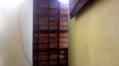 Gaby online show from April 22, 3:52 pm