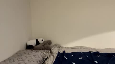 ghostpetal online show from December 18, 12:17 am