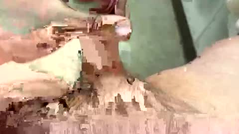 Snapshot of gifteddguy89 chatting on February 17, 4:39 pm gifteddguy89 online show from February 17, 4:39 pm