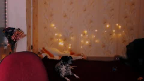 Emm online show from December 20, 11:37 pm