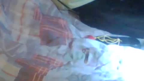 lovegirlscallme online show from October 24, 2:34 am