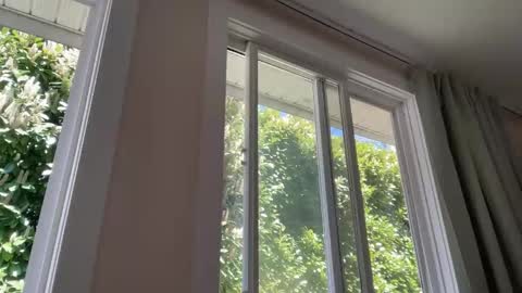 globalmovement online show from April 26, 7:55 pm