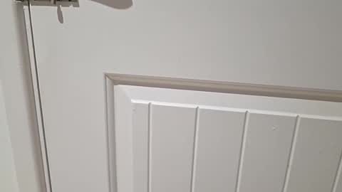 Gloscam online show from November 23, 11:14 pm