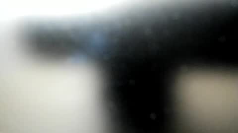 Lina online show from November 5, 8:38 am