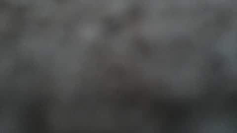 goingalltheway2 online show from March 7, 11:27 pm