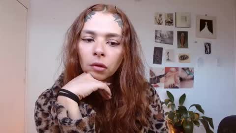 Alaska online show from December 2, 1:09 pm