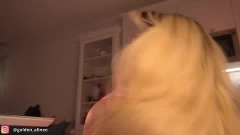 Snapshot of golden_alinee chatting on February 23, 9:59 pm Aline meow   online show from February 23, 9:59 pm