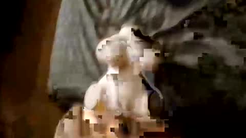 gomezxx620 online show from November 9, 4:16 am