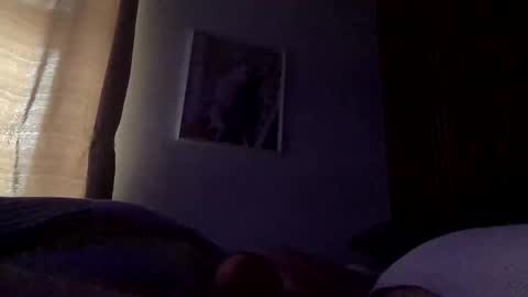 gonzo_199x online show from October 19, 7:02 am