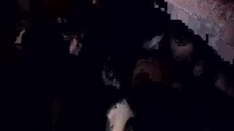 Goth Goddess Rose online show from March 5, 5:07 am
