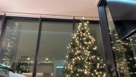 Gracie Mae online show from December 3, 11:38 pm