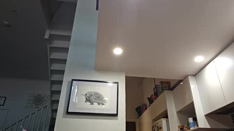 grattitude online show from March 1, 12:37 am