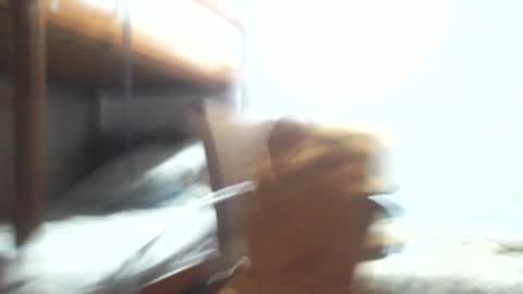 Gregory max online show from January 3, 3:38 am