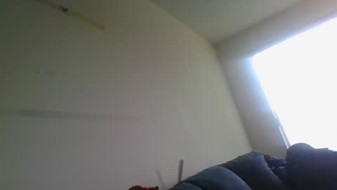 Snapshot of gringoloco253783 chatting on December 31, 4:46 pm certifiedloverboy online show from December 31, 4:46 pm