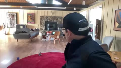 groovycouvie online show from March 1, 10:42 pm