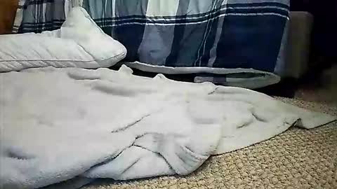 guyatx online show from November 29, 6:10 am