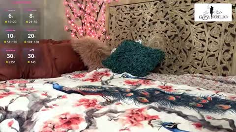 Gypsy online show from November 24, 12:04 pm