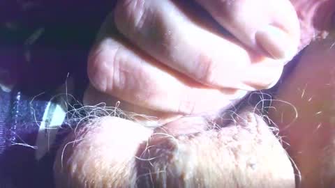 hagridthehorrible online show from November 5, 11:34 am