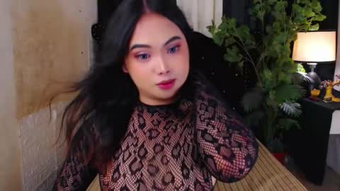 haily online show from November 12, 3:31 am