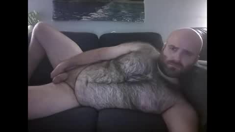 Hairiest Bear online show from May 24, 9:49 am