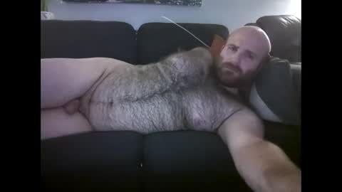 Hairiest Bear online show from June 3, 3:42 am