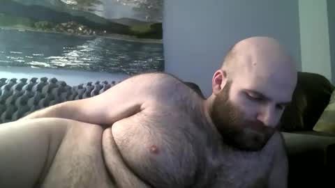 Hairiest Bear online show from January 12, 8:36 am