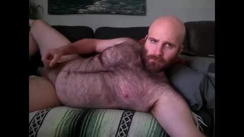 Hairiest Bear online show from May 10, 4:02 pm