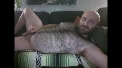 Hairiest Bear online show from May 30, 3:16 am