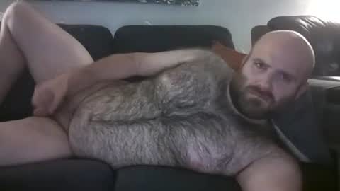Hairiest Bear online show from May 31, 8:46 am