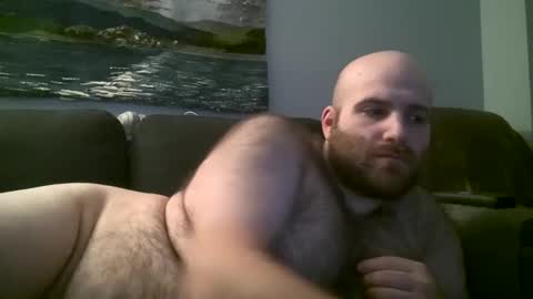 Hairiest Bear online show from February 16, 7:37 am