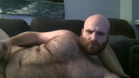 Hairiest Bear online show from January 26, 7:10 am