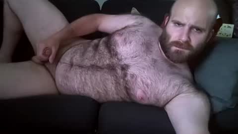 Hairiest Bear online show from June 9, 7:35 pm