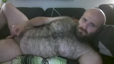 Hairiest Bear online show from June 4, 2:28 am